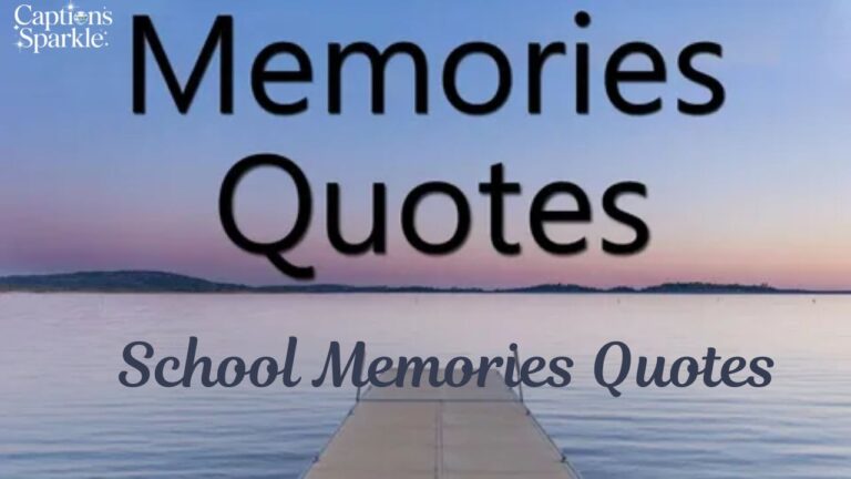 School Memories Quotes