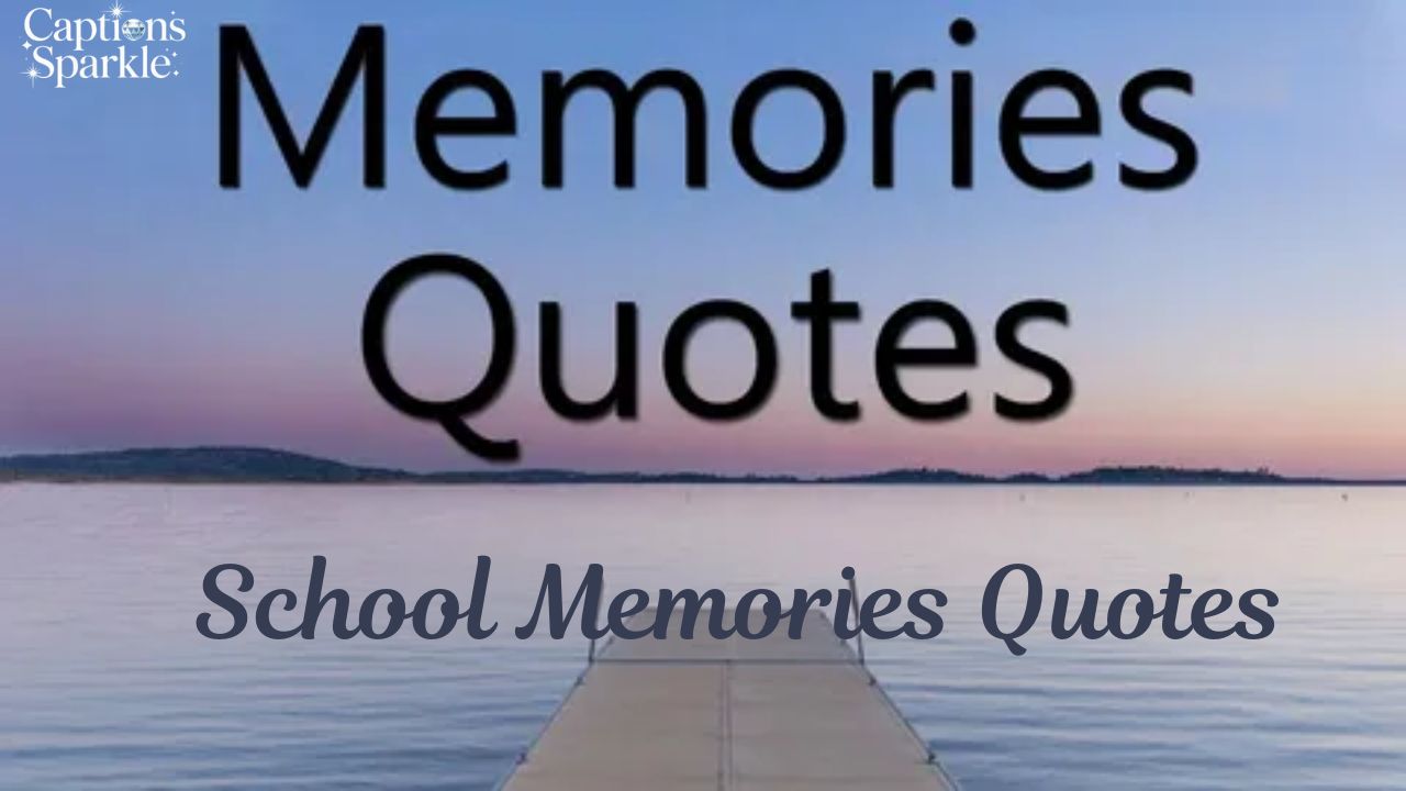 School Memories Quotes