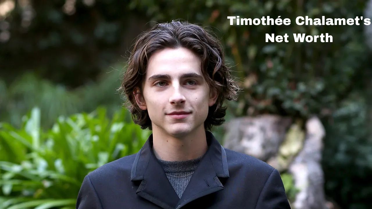 Timothée Chalamet's Net Worth