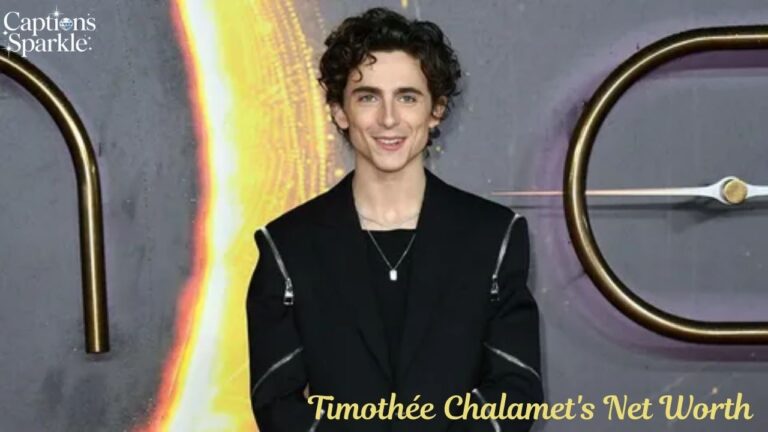 Timothée Chalamet's Net Worth